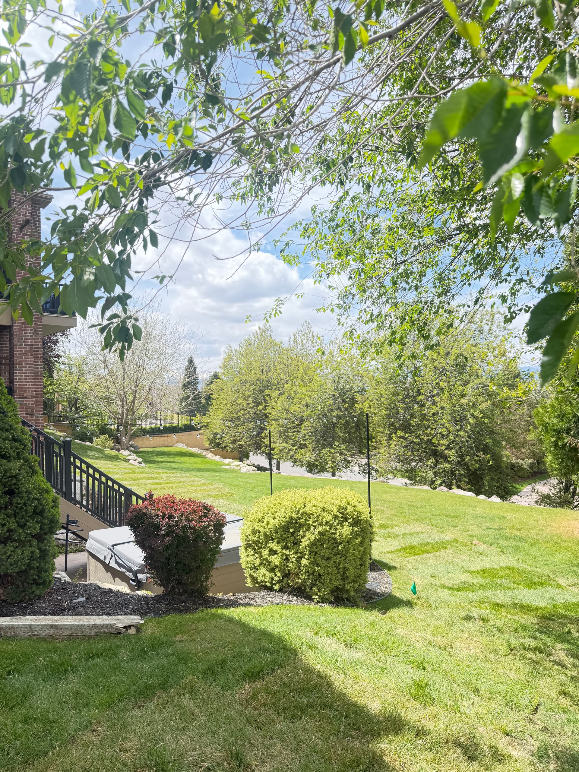 Fresh Sod Installation That Gets Your Yard Ready for Summer image