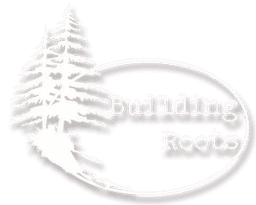Building Roots Construction