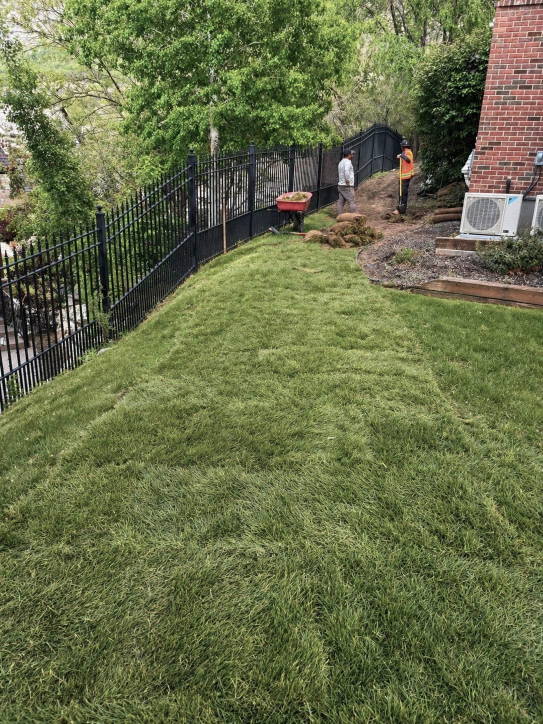 Fresh Sod and Sprinkler Repair Give This Lawn a Strong Start image