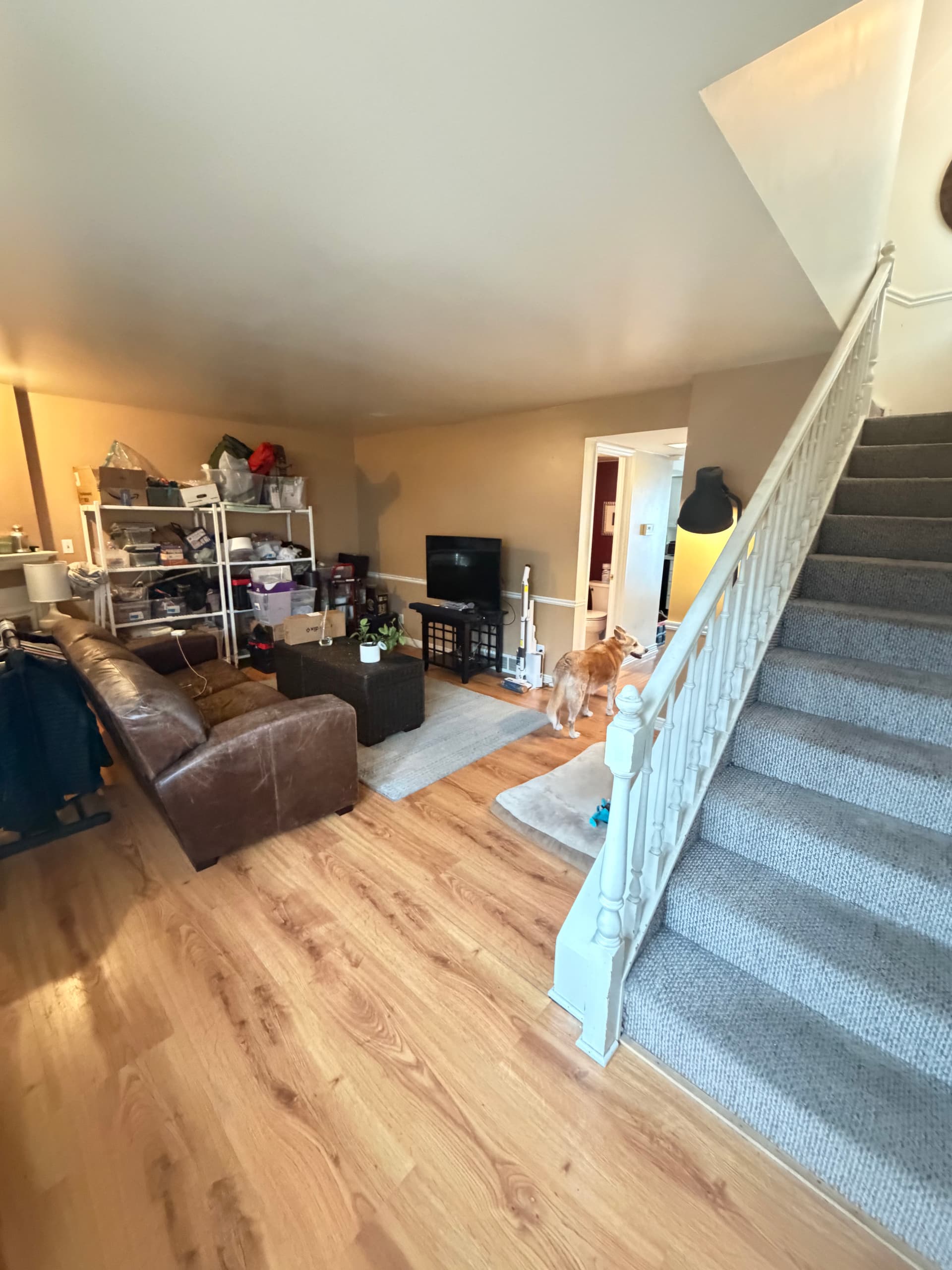 Gallery photos for Demo to Done - LVP Flooring Install Over a Fresh Subfloor: Image #2